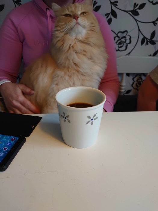 Fluffig orange katt sitter vid bord med en kaffekopp framför sig, bakom syns en person i rosa tröja.