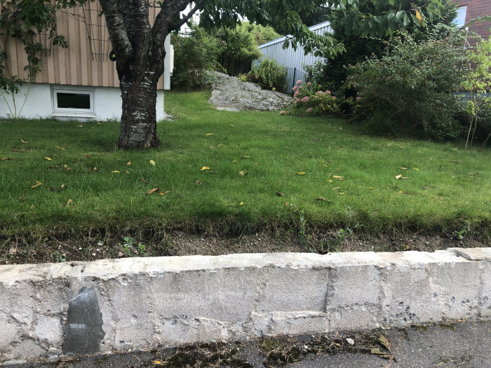 Stödmur vid husets gräsmatta, nyligen grävd på en sida, utan skiffer, redo för reparation.