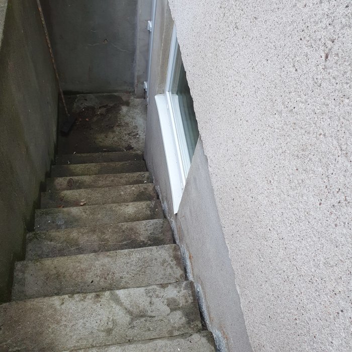 Fuktskada vid källartrappan med synbar fukt på vägg och trappsteg.