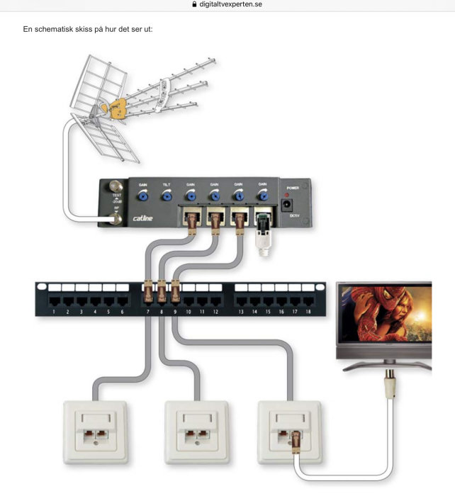 Schematisk skiss av TV-antenn ansluten till distributionsenhet och utvägars till nätverksuttag och TV.