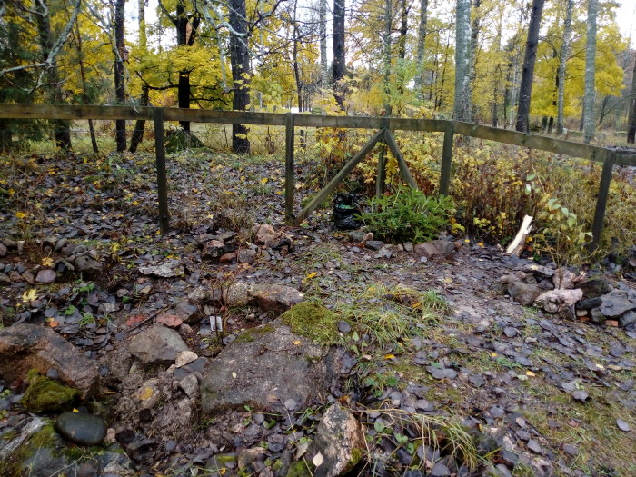 Grovstädad trädgård med nybyggd trästaket framför höstfärgad skog.