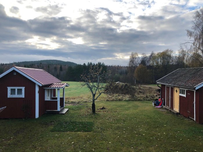 Utsikt över en trädgård med två små röda stugor och ett blommande äppelträd, där en framtida bastu planeras att byggas.