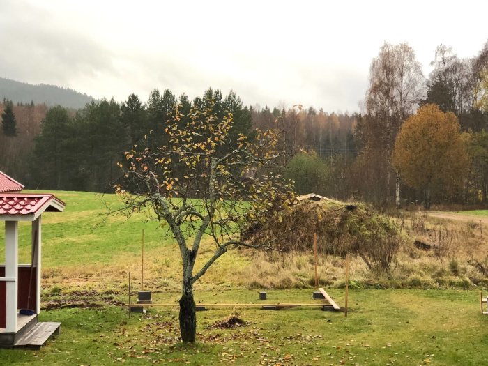 Grävmaskin och utmarkerade områden för byggprojekt på en grön tomt med träd och skog i bakgrunden.