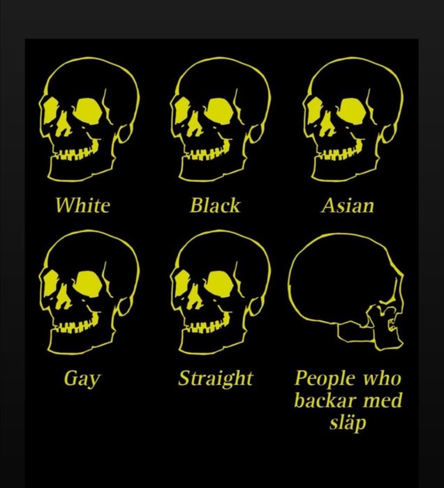 Ett diagram med sex skalleillustrationer märkta "White", "Black", "Asian", "Gay", "Straight" och "People who backar med släp".