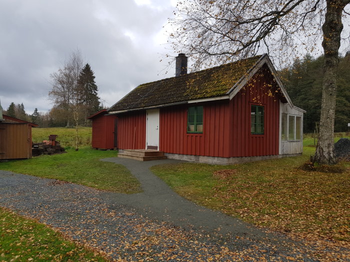 Nygrusad gångstig fram till en röd gäststuga med höstlöv på marken.