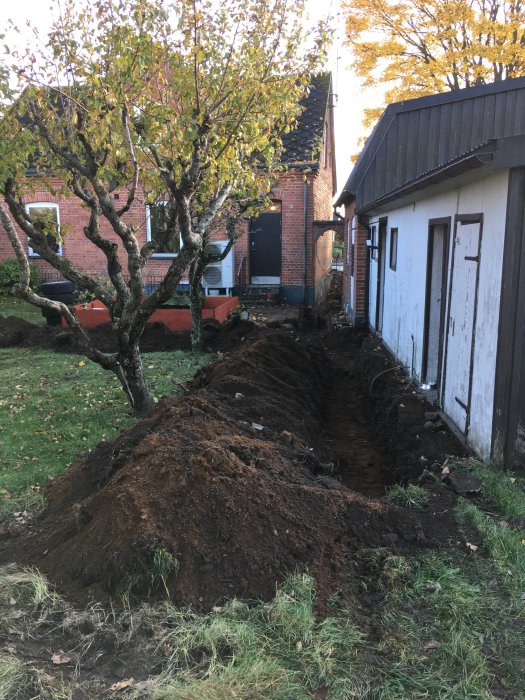 Nygrävd trädgårdsdike längs med en husvägg och uthus med högar av jord och ett lövträd i förgrunden.