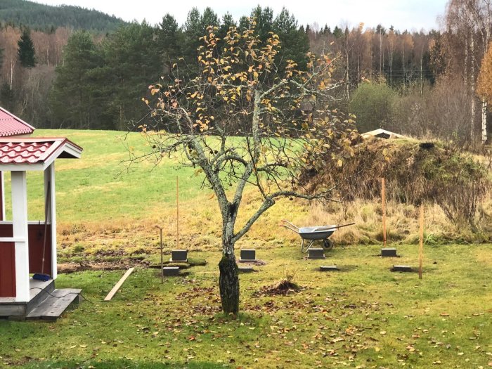 Trädgård med markerade platser för plintar, skottkärra, infälld stomme framåt, omgiven av grönska.