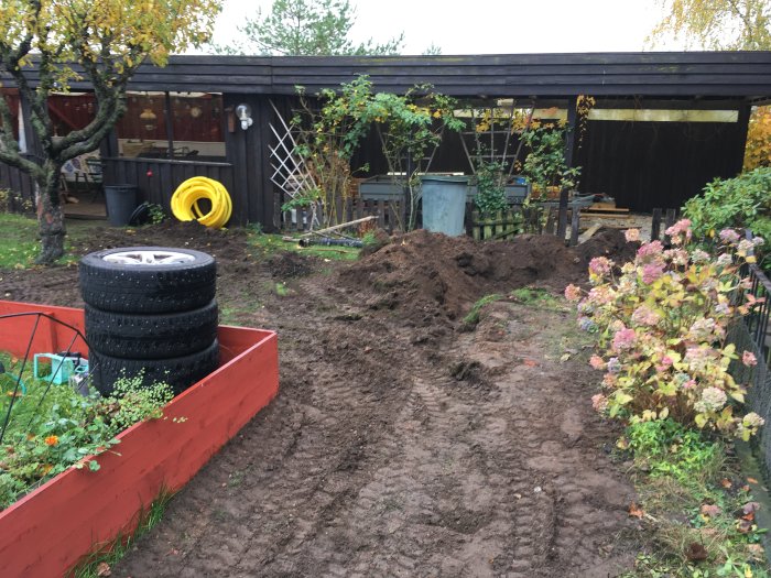 Trädgård med uppkörd mark och nya installationer, gula vattenslangar, bilfälgar och ett uthus i bakgrunden.