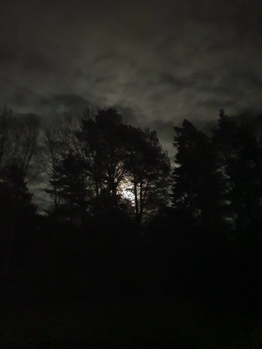 Mörk silhuett av träd mot en nattlig himmel med dunkelt ljus som skiner genom molnen.