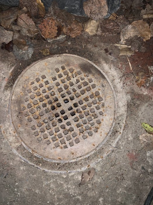 Rostigt gallerlock på en dagvattenbrunn med löv och småstenar runtomkring.