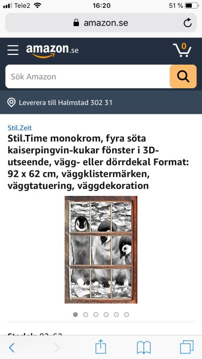 Väggdekal som ser ut som fönster med monokroma bilder av kejsarpingviner.