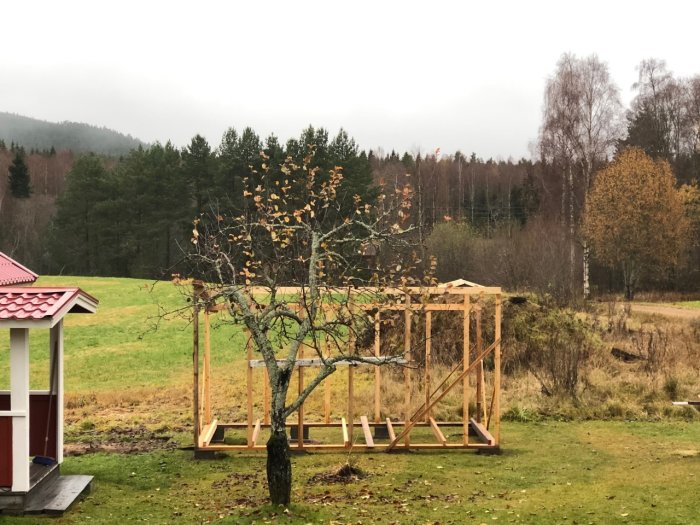 Grundläggande träregelstomme för en byggnad i ett landskap med träd, gräsmatta och utsikt över skogen i disigt väder.