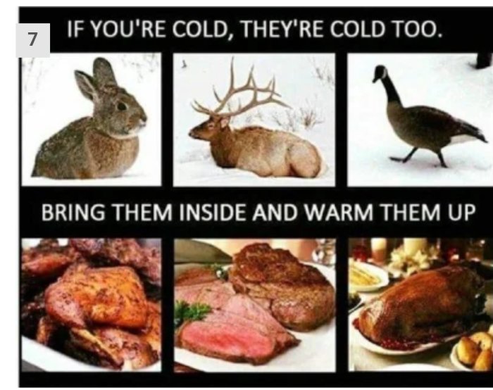 Collage av djur i snö ovanpå bilder av motsvarande maträtter med text "IF YOU'RE COLD, THEY'RE COLD TOO. BRING THEM INSIDE AND WARM THEM UP".