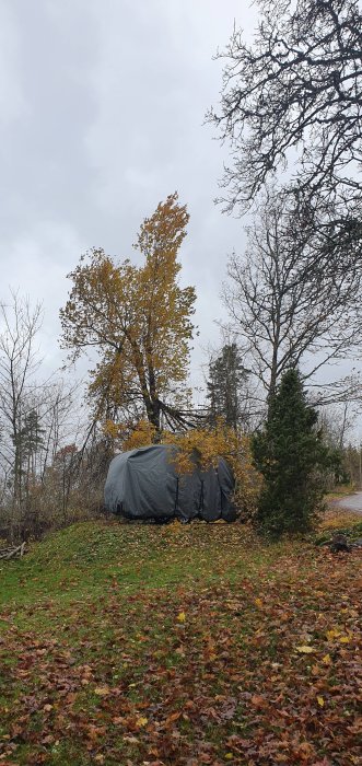 Husvagn täckt med presenning på en gräsmatta bland höstlöv och träd.