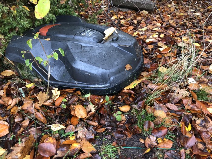 Robotgräsklippare fastnat i skogsmark täckt av höstlöv.