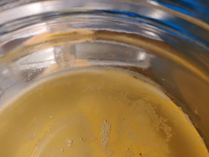 Närbild på möjligt mögellager ovanpå ett fermenteringsprojekt med surade gröna tomater i glasburk.