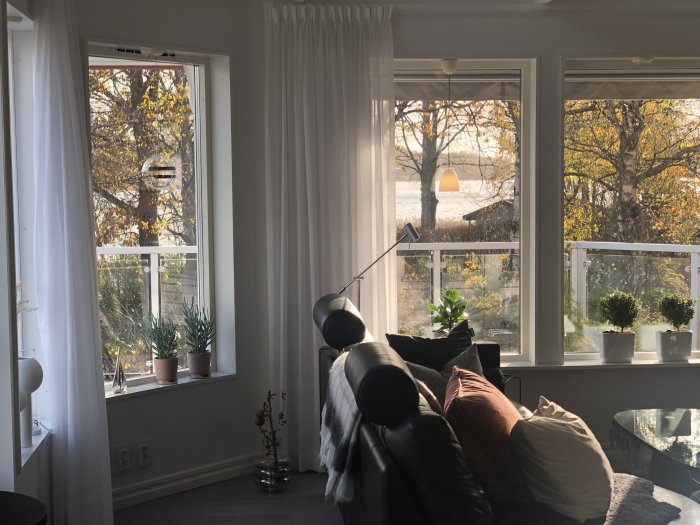 Vardagsrum med soffa och krukväxter vid fönster som erbjuder utsikt över hav och nedklippt häck.