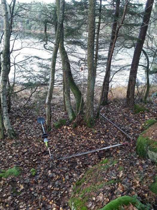 Plats för pumphus markerad med pinnar på en skogstomt nära sjön med höstlöv och träd.