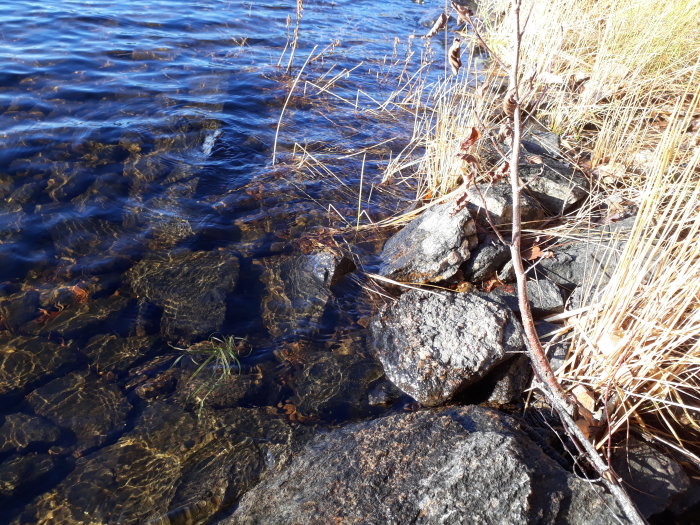 Plats vid sjö med stenar och klart vatten vid strandkant, potentiell plats för pumphus.