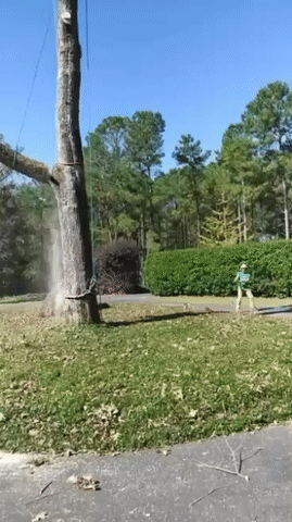 Person står bredvid ett fallande träd i en solig trädgård.