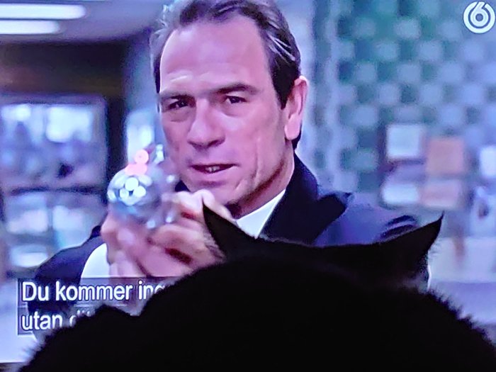 Svart katt framför TV-skärmen blockerar halva vyn av en scen från Men in Black.