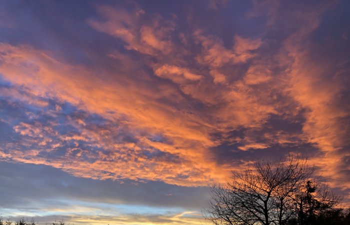 Dramatisk himmel med orange och lila moln vid solnedgången, silhuett av trädgrenar.