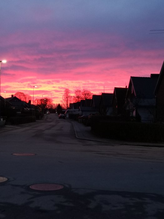 Solnedgång med rosa himmel över en bostadsgata med hus och parkerade bilar.