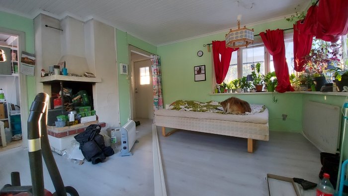 Nylagt laminatgolv i en stuga med sovande hund på sängen, gröna väggar och fönster med växter.
