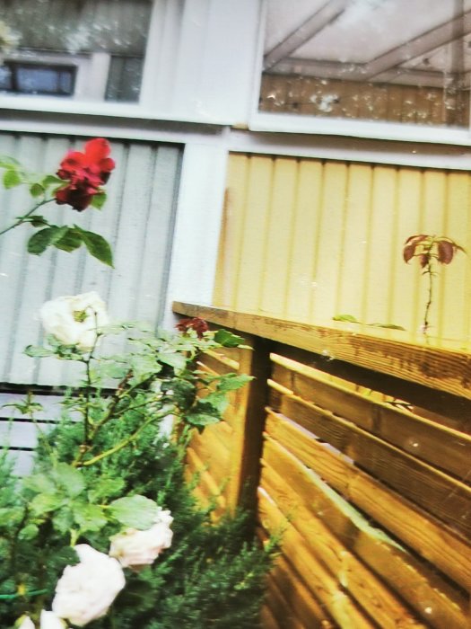 Altan med staket som går över gränsen, blommor i förgrunden och ett hus i bakgrunden.