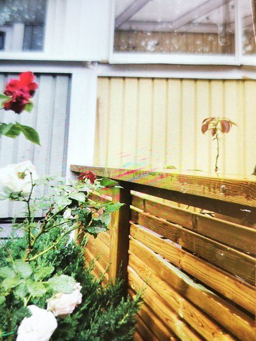 Altan med blommor och staketet som går in på ägarens mark.