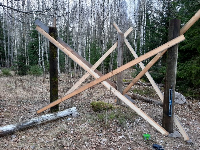 Tre stockar nedgrävda i skogsmark stöttas av diagonala stag, grus och verktyg syns i förgrunden.