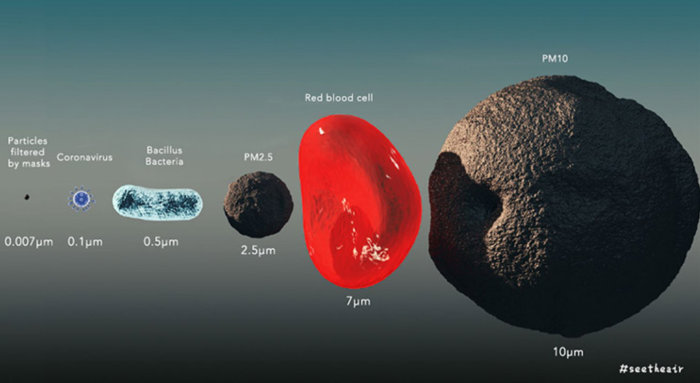 Jämförelse av storlekar på partiklar, virus och bakterier relativt en röd blodkropp och PM2.5/PM10.