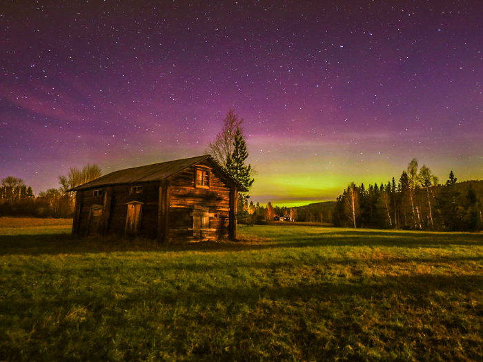 Stjärnklar natthimmel med nordlys över en äldre trästuga på en öppen äng.