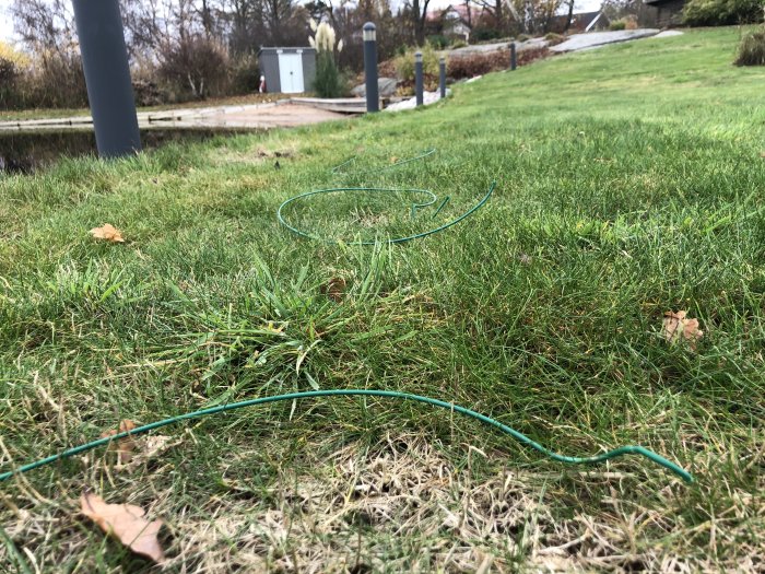 Uppgrävd och avbiten grön kabel ligger på en gräsmatta med skog och grusväg i bakgrunden.