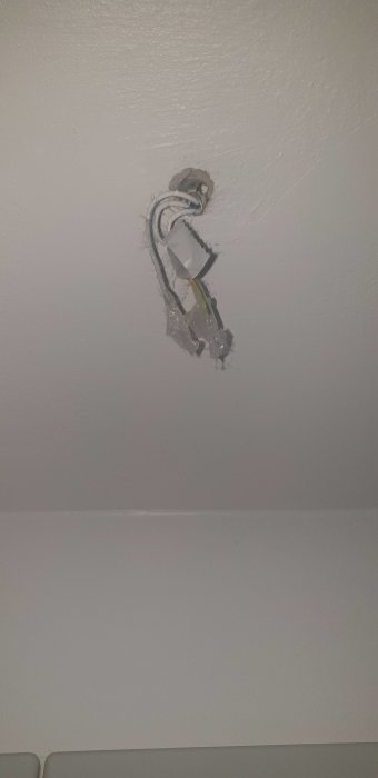 20201102_222132.jpg