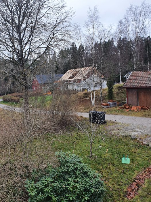 Ett hus med pågående taklyft på en grusväg, synligt trästomme för det nya taket, omgivet av grönska.