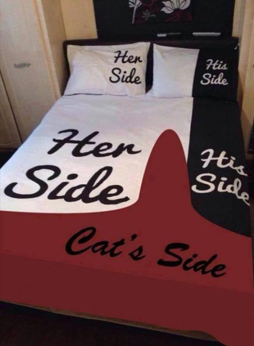 En sängöverkast med texten "Her Side," "His Side," och största delen markerad med "Cat's Side.