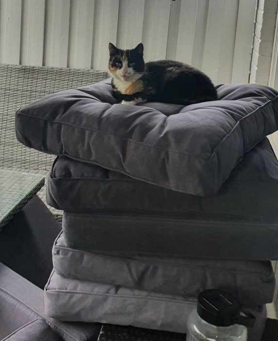 Katt ligger på en hög med fyra grå soffkuddar inomhus, likt "Prinsessan på ärten".