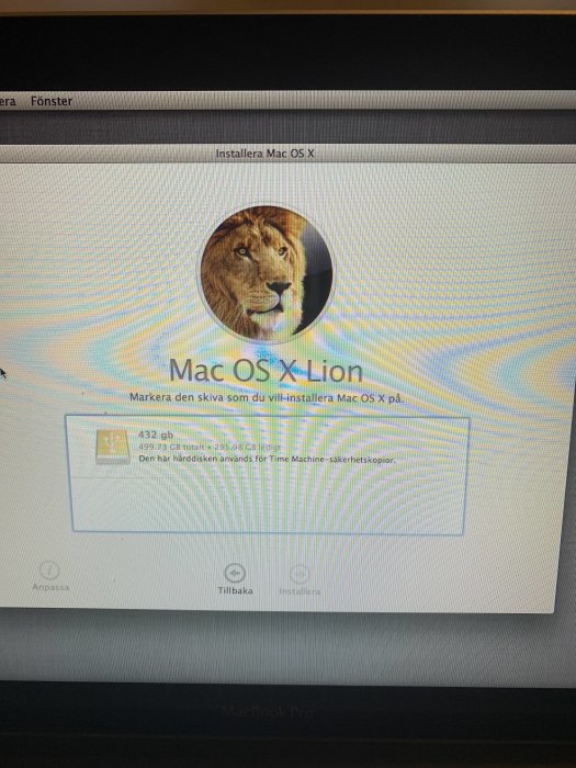 Skärmdump av installationsfönster för Mac OS X Lion med val av måldisk för installationen.