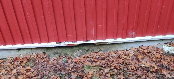 Sliten husgrund med murkna träplankor och synlig fukt under rödmålad panel.