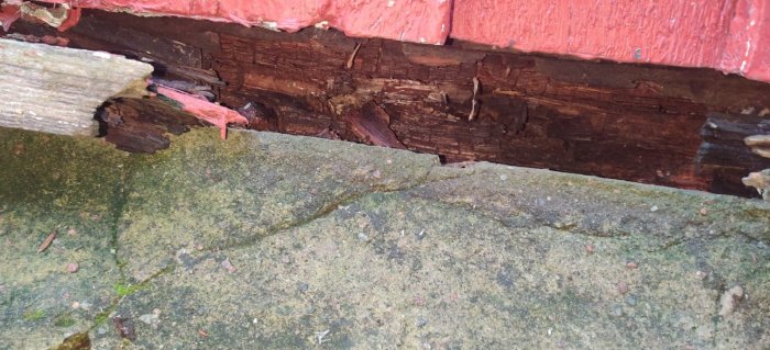 Skadade och mögliga träsyllar mot en stenhusgrund.