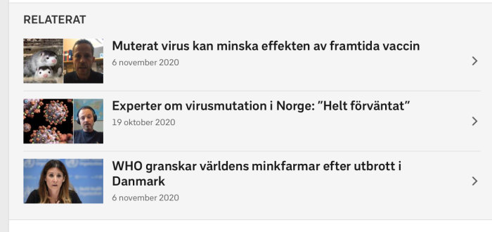 Samling av nyhetsrubriker och bilder som relaterar till virusmutationer, inkluderar katter, virusillustrationer och en WHO-representant.