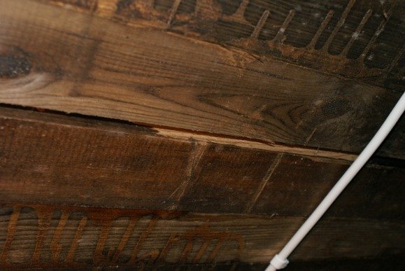 DSC07135_small.JPG