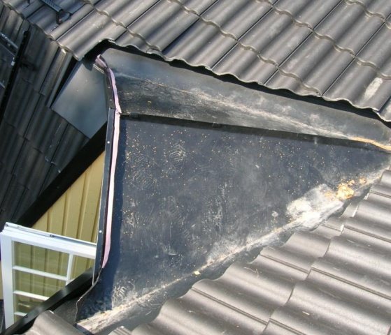 DSCN7284b.jpg