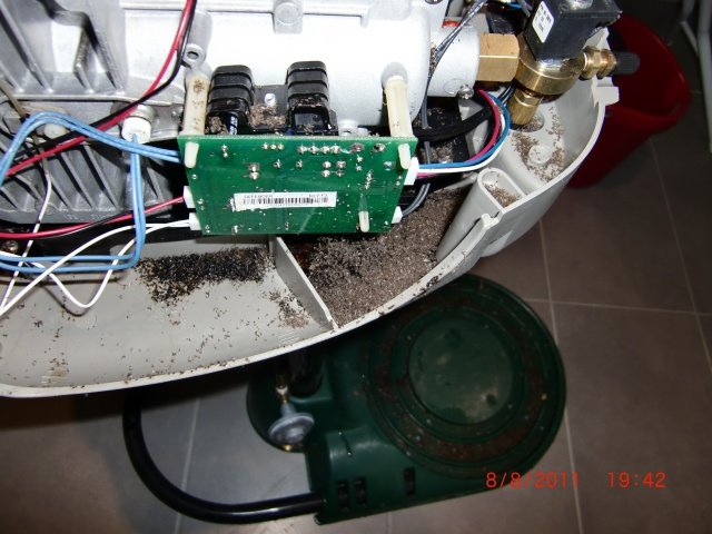 CIMG4024.jpg