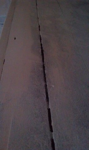 IMAG0123.jpg