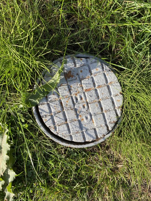 Brunnlock i gräset markerande en dagsvattenbrunn eller spolrör.