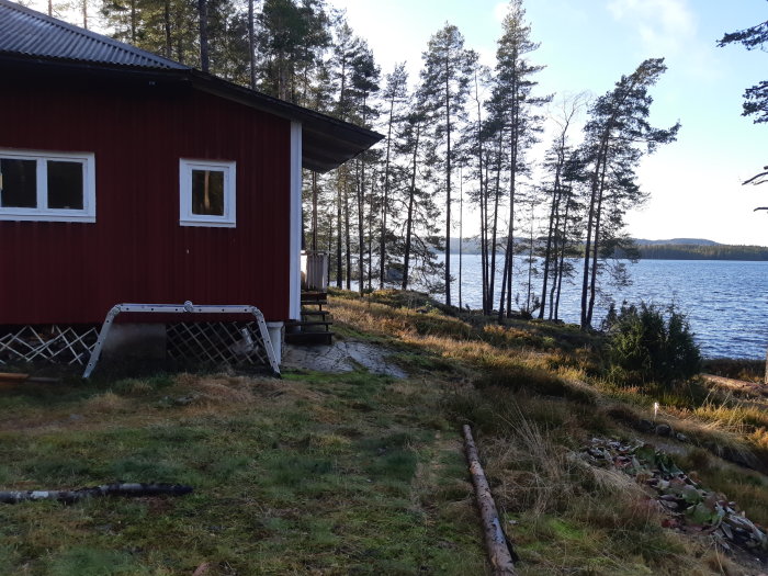 Röd stuga bredvid en sjö omgiven av tallar med öppen terräng mot vattnet.