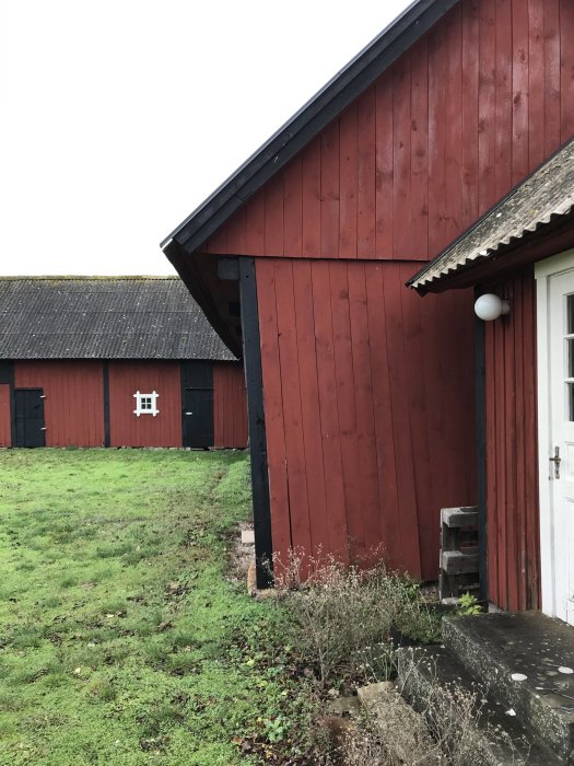 Röd lada med vindskadad västlig sida och orört gräs framför byggnaden.