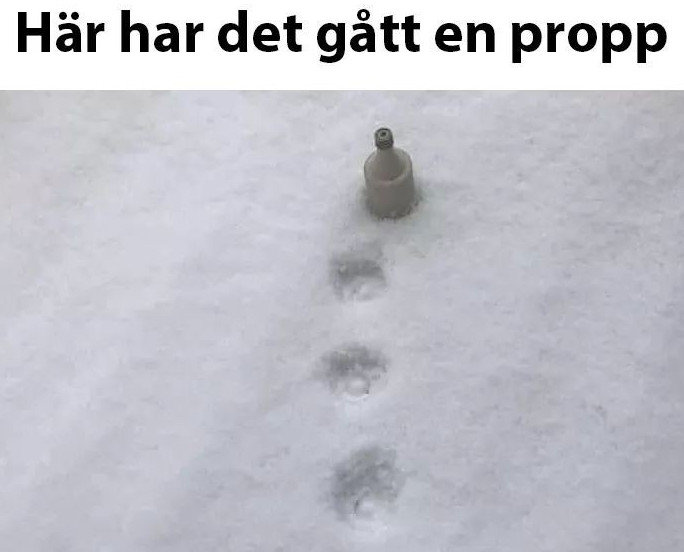 Flaskkork i snön med fotspår som skapar illusion av vinflaska.